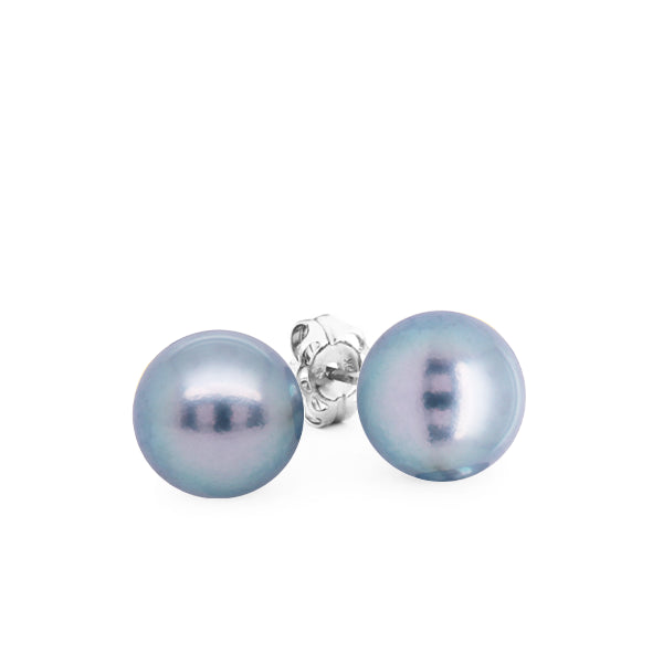 Blue Akoya Pearl Stud Earrings in 9ct White Gold