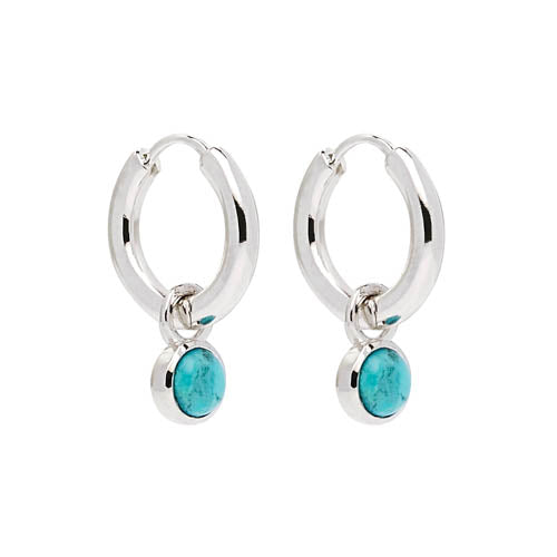 NAJO Heavenly Turquoise Silver Earring