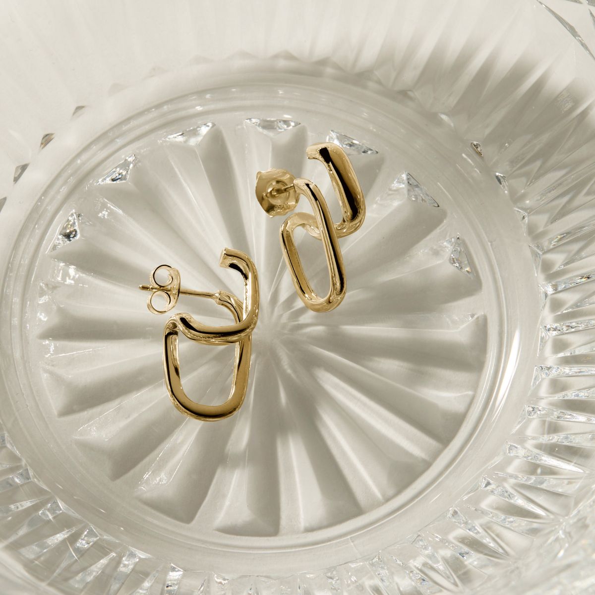 NAJO Gold The Illusionist Earrings