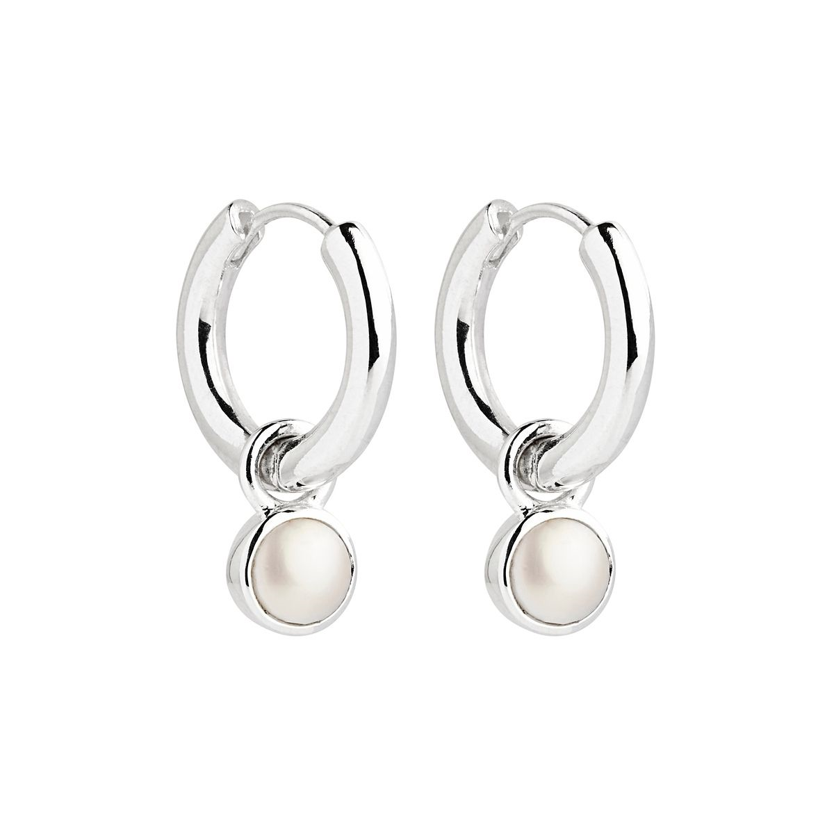 001-024-02868-1