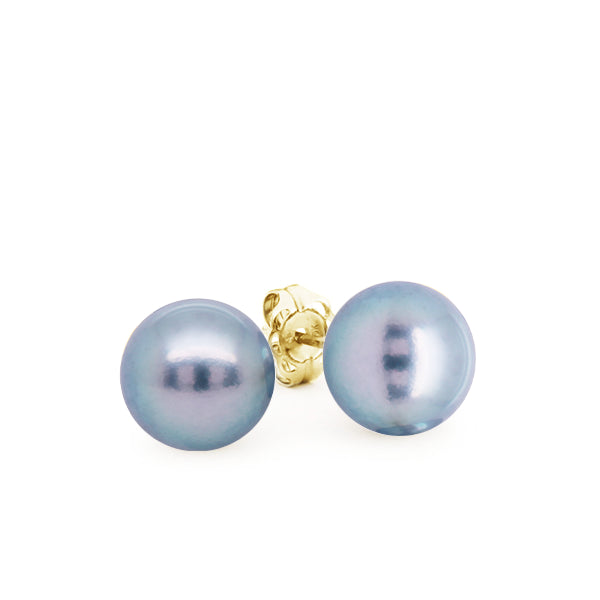 Blue Akoya Pearl Stud Earrings in 9ct Gold