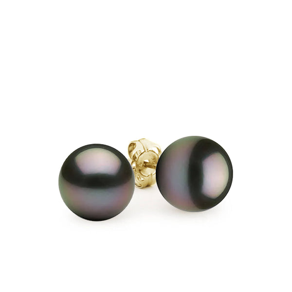 MIYAKO 9-9.5mm Tahitian Pearl Earrings in 9ct Gold