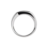 Najo Expedition Mens Silver & Black Onyx Ring