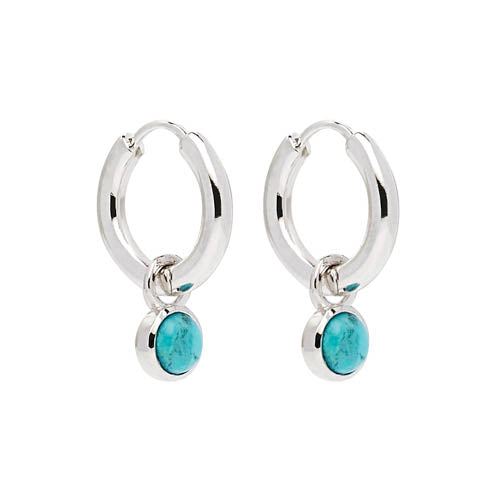 NAJO Heavenly Turquoise Silver Earring