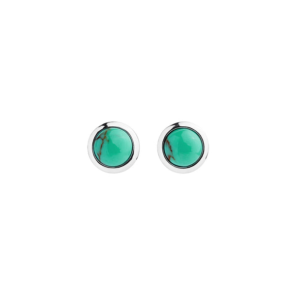 NAJO Husk Turquoise Stud Earrings